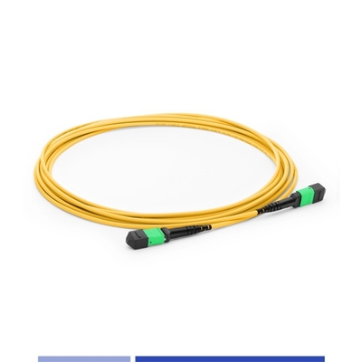 Beli 12 Core MTP® Fiber Optic Patch Cord Wanita Single Mode G652D 10m Kabel Fiber Patch OFNP Tipe B pembuatan online